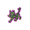 Exotic Torracat